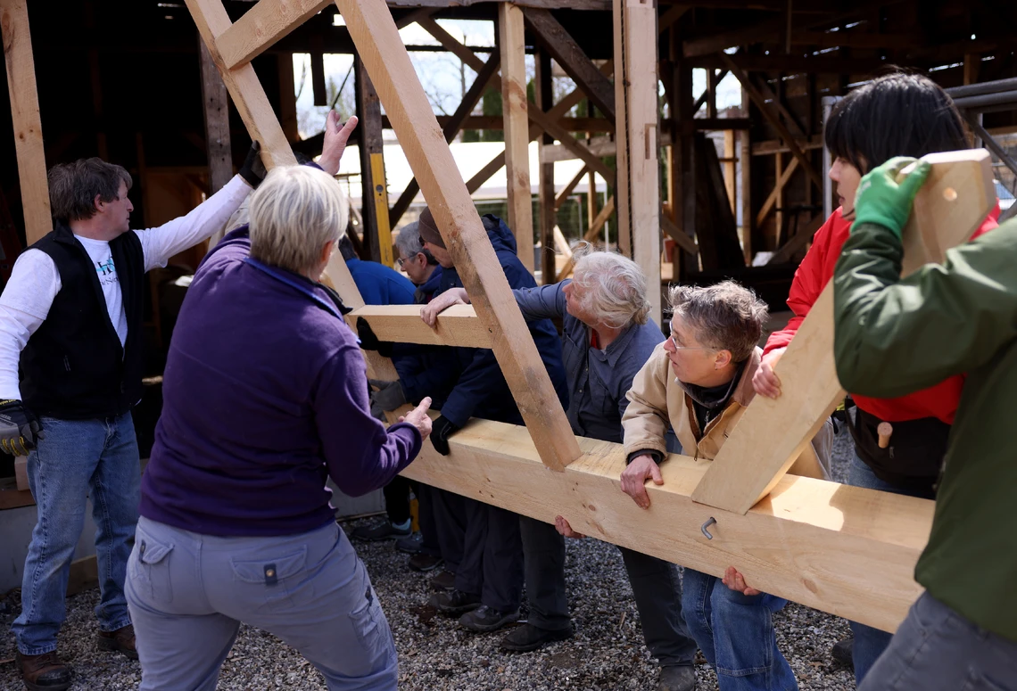 A group of ten people lift up a timber-frame structure made of several joined pieces of heavy wooden beams into place to form the side wall of a barn.