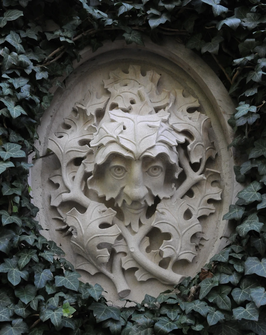 A fanciful oval-shaped decorative sculpture carved in limestone depicts the face of a man with a beard surrounded by twigs and foliage; the sculpture is placed in the wall of a garden and is surrounded by green ivy.